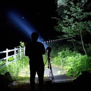 【予約制】ライトトラップ（灯火採集）クワガタ・カブトムシ採集（参加1名から3名まで）