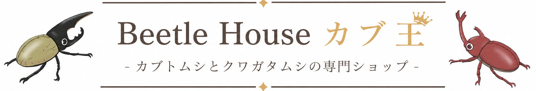 国産・外国産カブトムシ＆クワガタ専門ショップ｜Beetle House カブ王