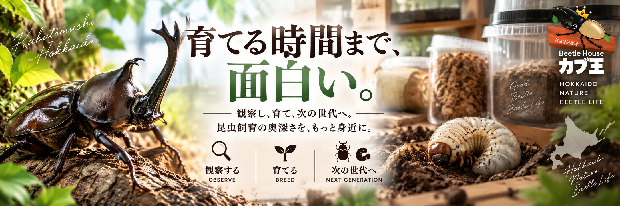 Beetle House カブ王