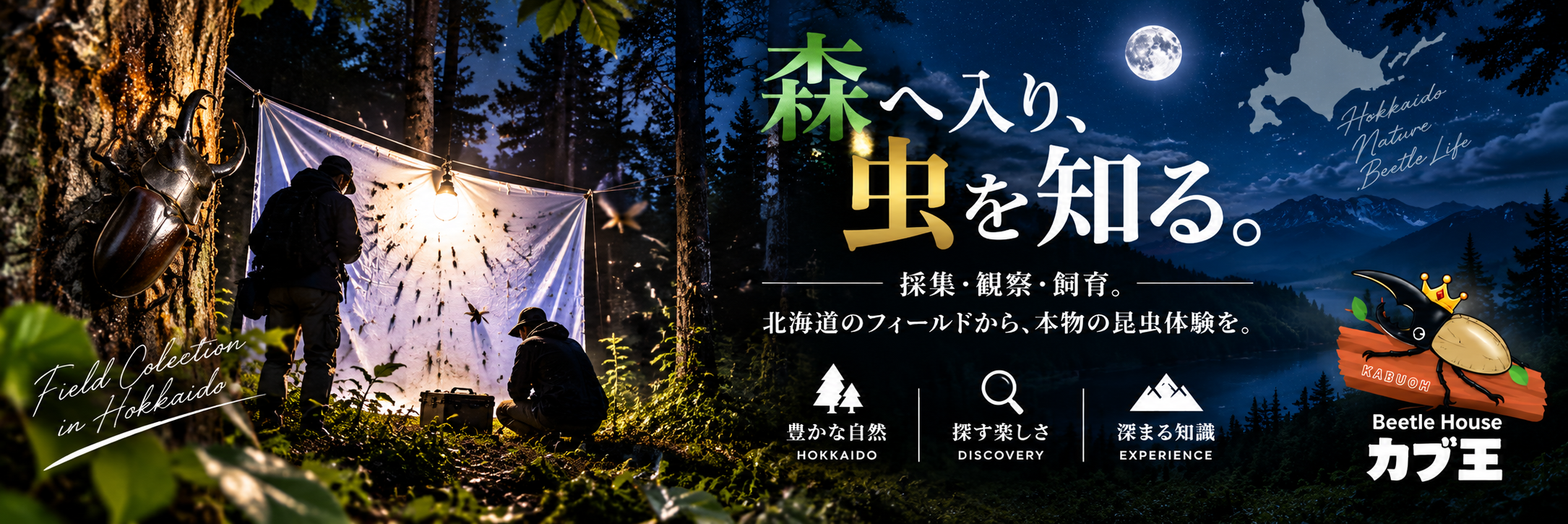 Beetle House カブ王